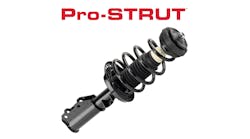 Pro-STRUT
